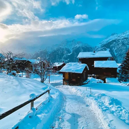 Jungtalblick Drieri By Interhome Appartamento Grächen