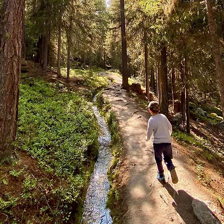 Jungtalblick Drieri By Interhome Grächen