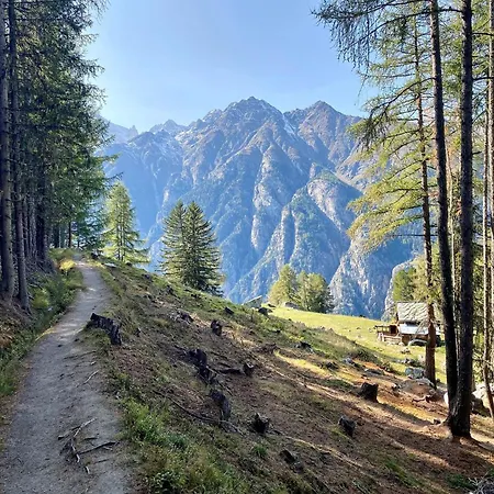 Appartamento Jungtalblick Drieri By Interhome