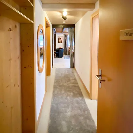 Jungtalblick Drieri By Interhome Appartement *