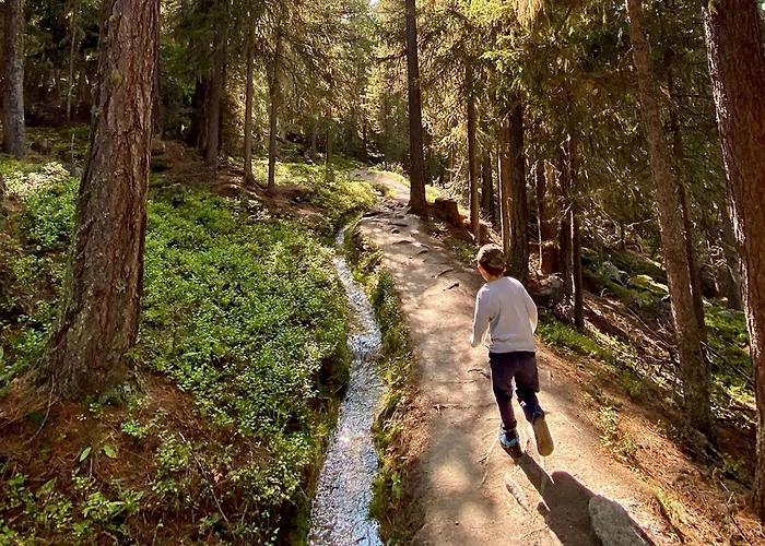 Jungtalblick Drieri By Interhome Grächen