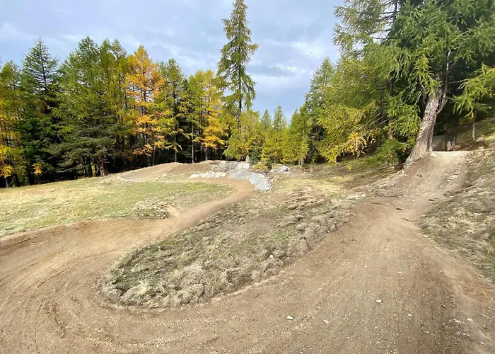 Jungtalblick Drieri By Interhome Appartement Grächen