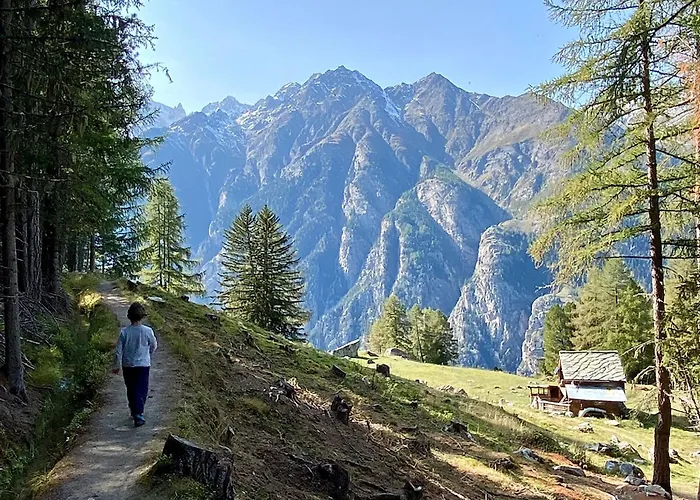 Appartement Jungtalblick Drieri By Interhome Grächen
