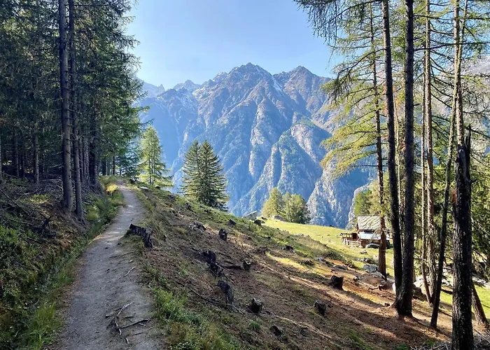 Appartement Jungtalblick Drieri By Interhome